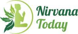 Nirvana Today Logo