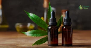 CBD Tinctures