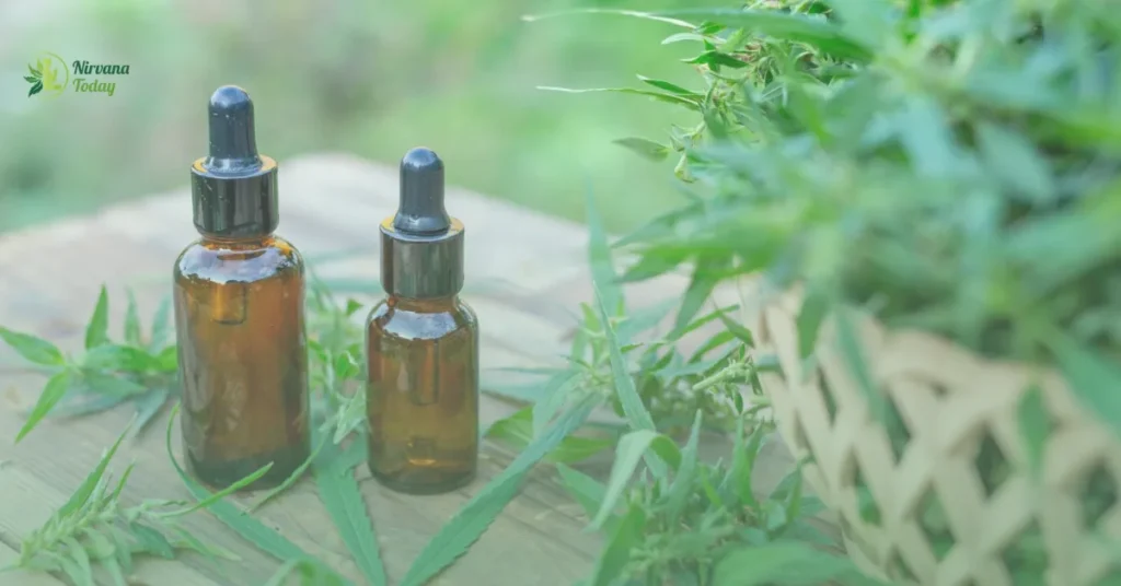 CBD Tincture for Pain Relief